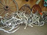 Deer Antlers 001