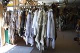 Assorted Furs