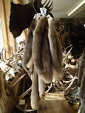 Beaver Hides 001