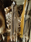 Lynx Hides 001