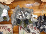 Badger Mount 001