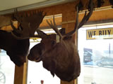 Moose Mount 001