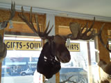 Moose Mount 002