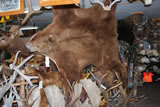 Alaskan Brown Bear Rug 001